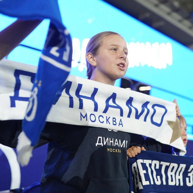Фанатская атрибутика